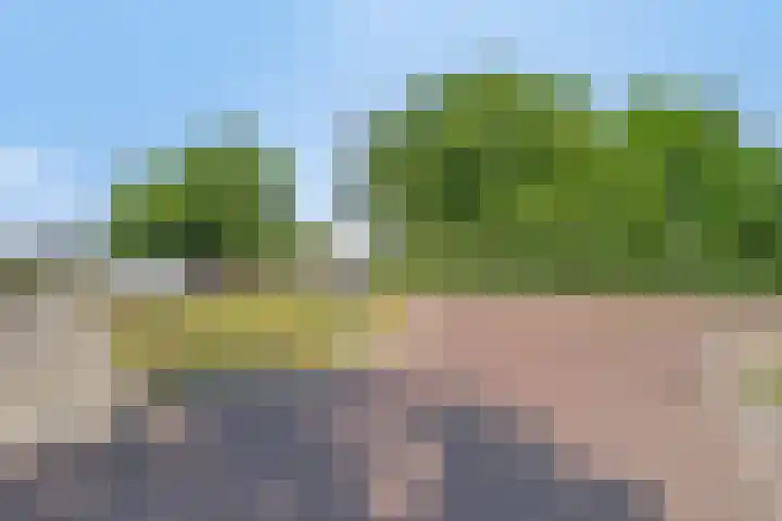 Grutto 5 Venray thumbnail 55