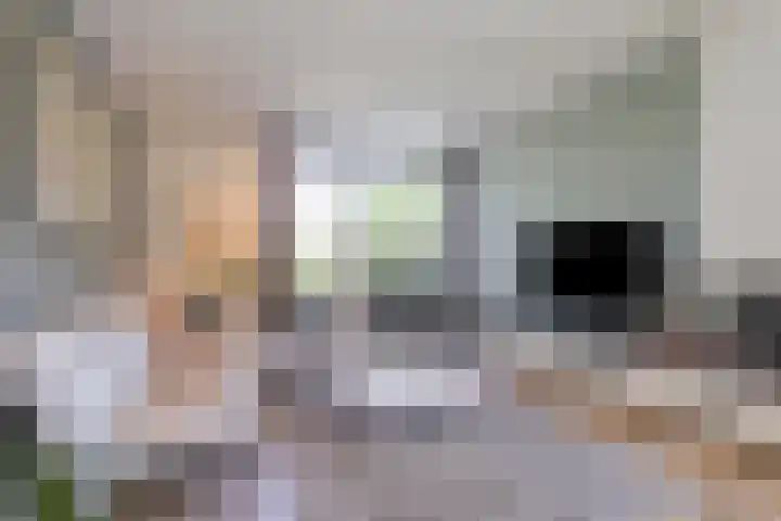Grutto 5 Venray thumbnail 7