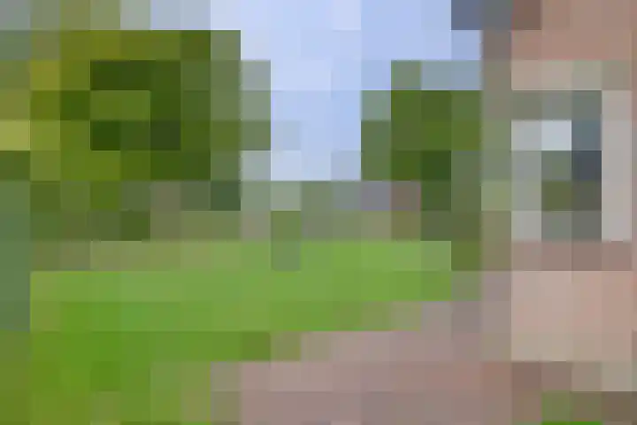 Grutto 5 Zuid-Scharwoude thumbnail 10