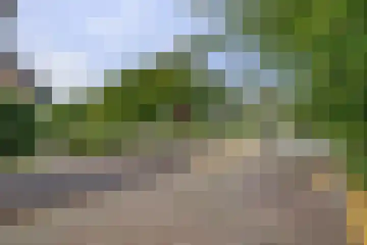 Grutto 5 Zuid-Scharwoude thumbnail 11