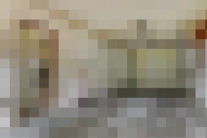 Grutto 5 Zuid-Scharwoude thumbnail 39