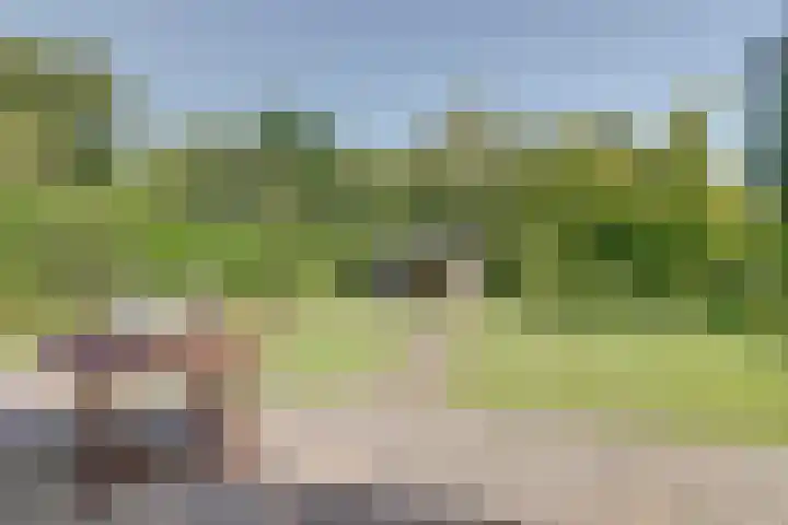 Grutto 5 Zuid-Scharwoude thumbnail 4