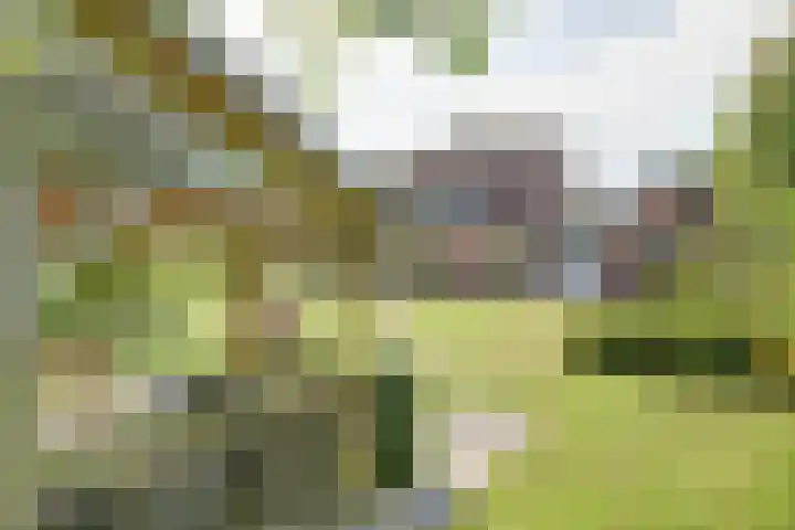 Grutto 5 Zuid-Scharwoude thumbnail 43