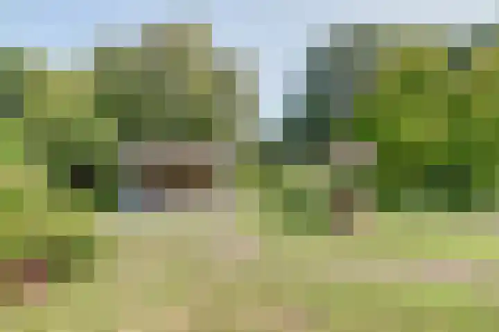 Grutto 5 Zuid-Scharwoude thumbnail 46