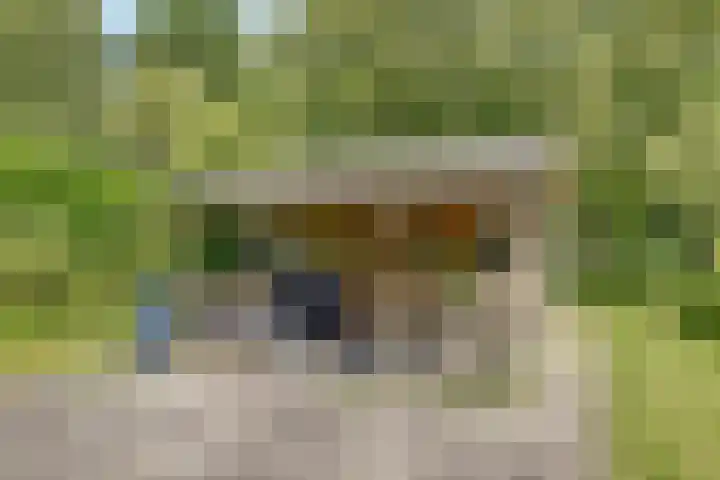 Grutto 5 Zuid-Scharwoude thumbnail 47
