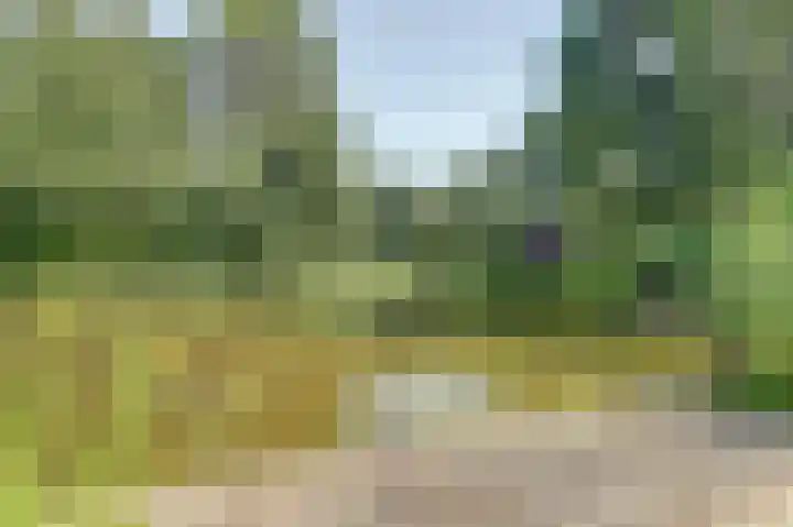 Grutto 5 Zuid-Scharwoude thumbnail 48