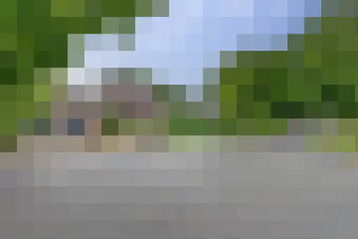 Grutto 5 Zuid-Scharwoude thumbnail 53