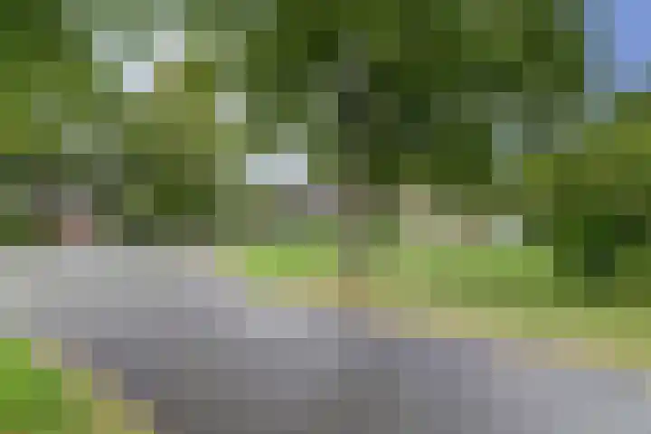 Grutto 5 Zuid-Scharwoude thumbnail 55