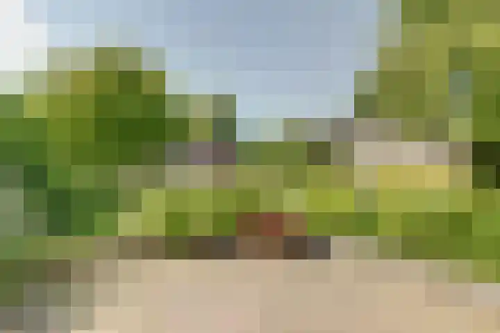 Grutto 5 Zuid-Scharwoude thumbnail 7