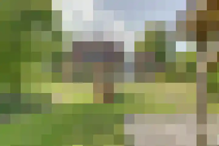 Grutto 5 Zuid-Scharwoude thumbnail 8