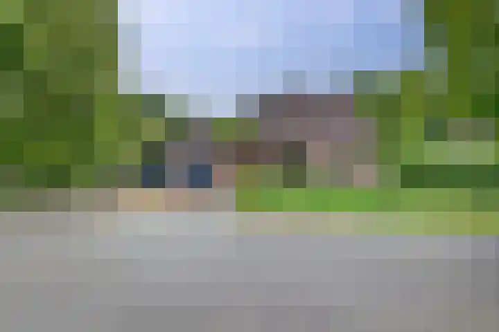 Grutto 5 Zuid-Scharwoude thumbnail 9