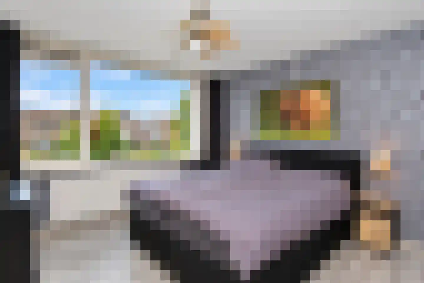 Grutto 53 Bodegraven thumbnail 22