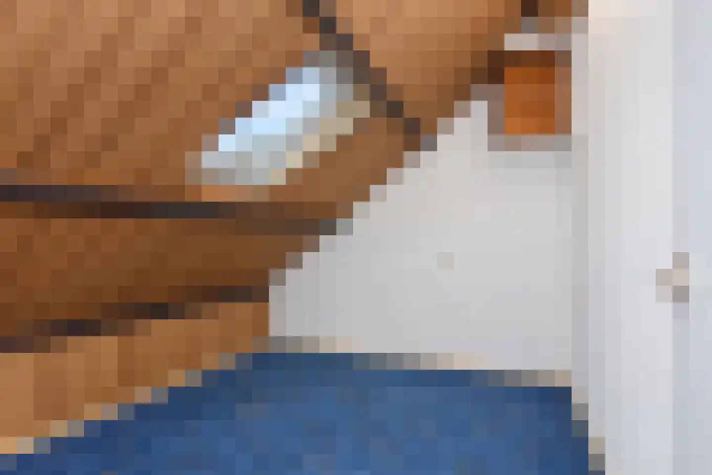 Grutto 53 Bodegraven thumbnail 36