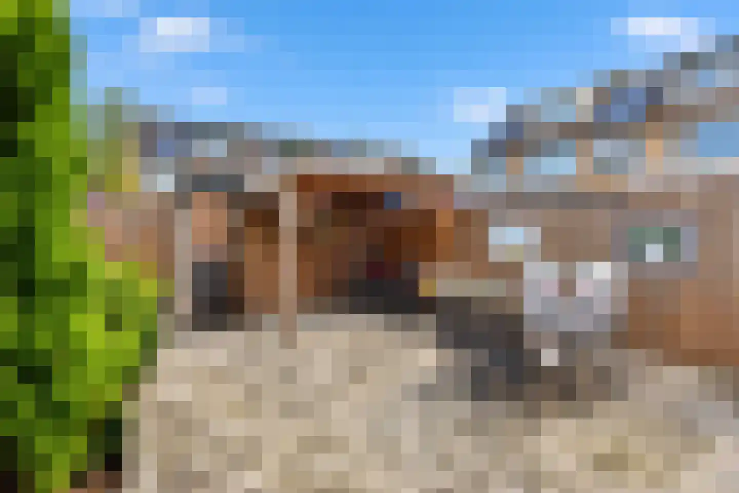 Grutto 53 Bodegraven thumbnail 37