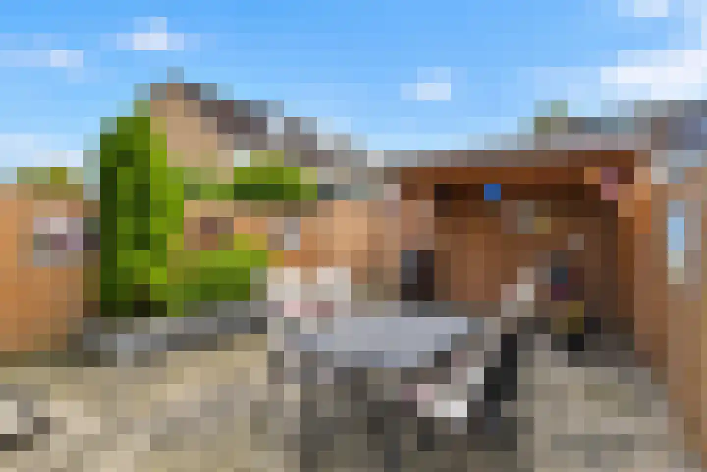 Grutto 53 Bodegraven thumbnail 38