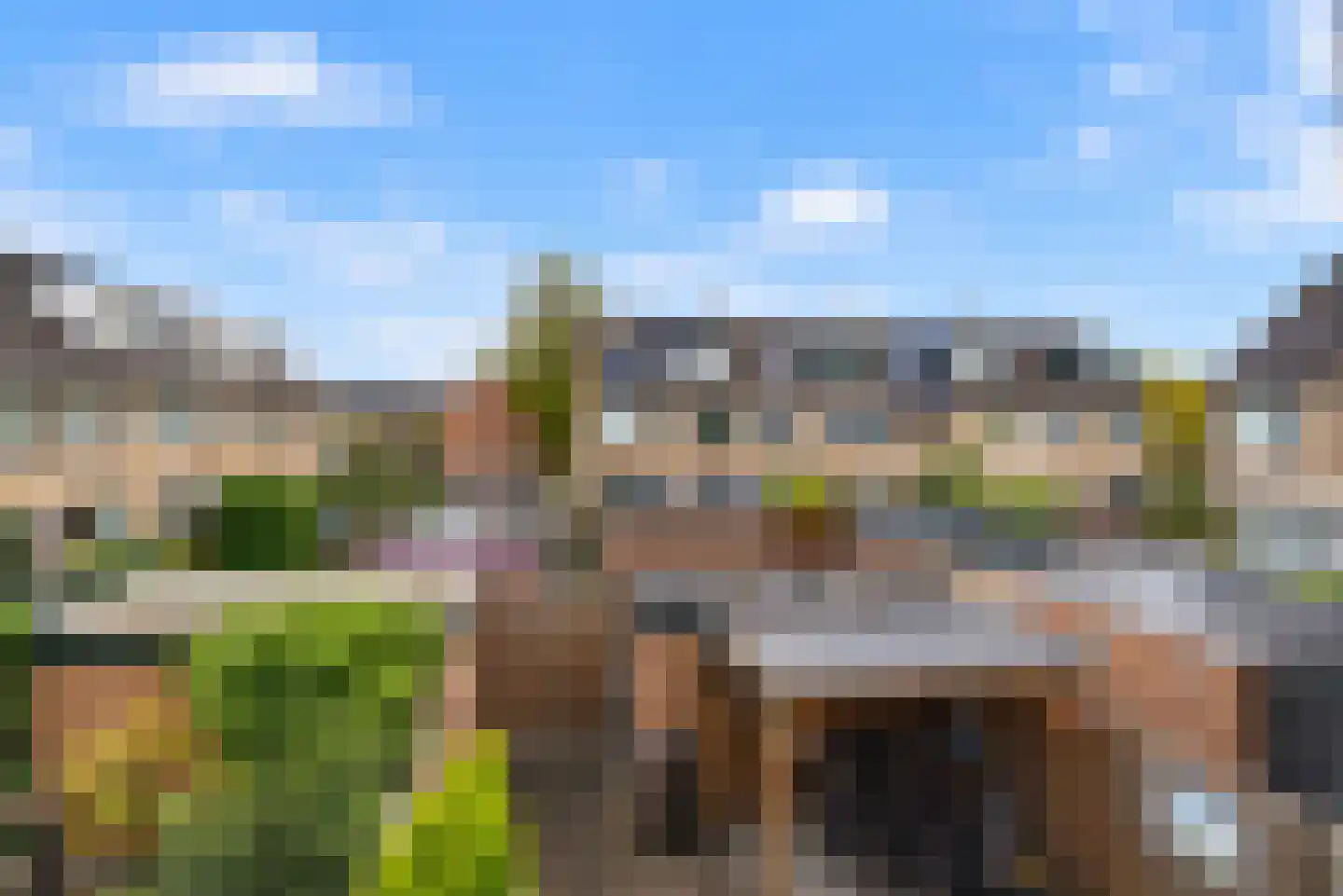 Grutto 53 Bodegraven thumbnail 43