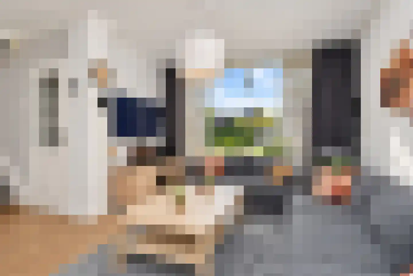 Grutto 53 Bodegraven thumbnail 9