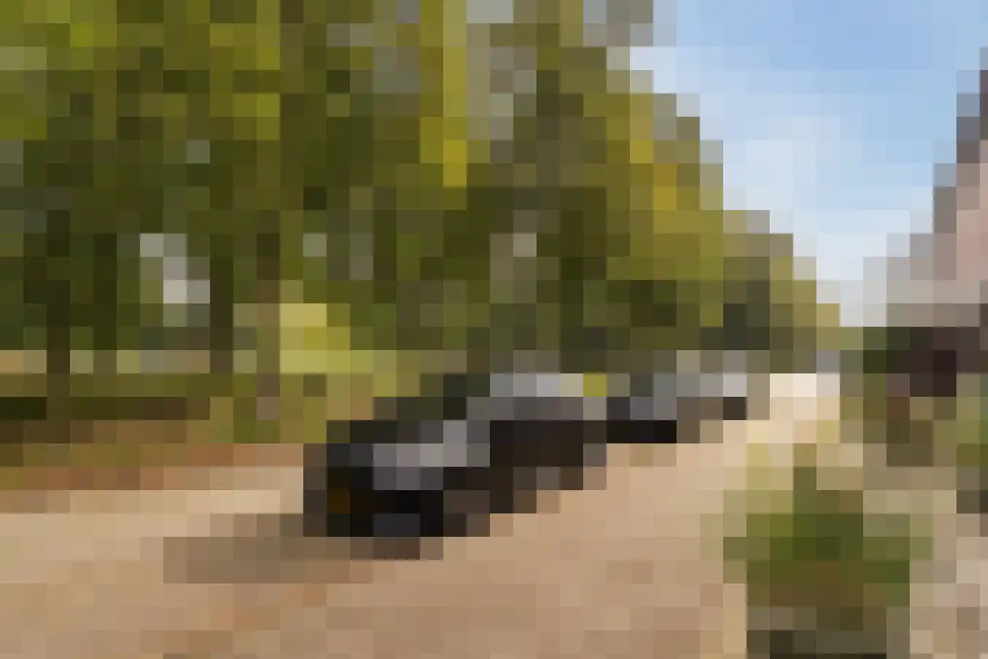 Grutto 53 Hoorn thumbnail 7