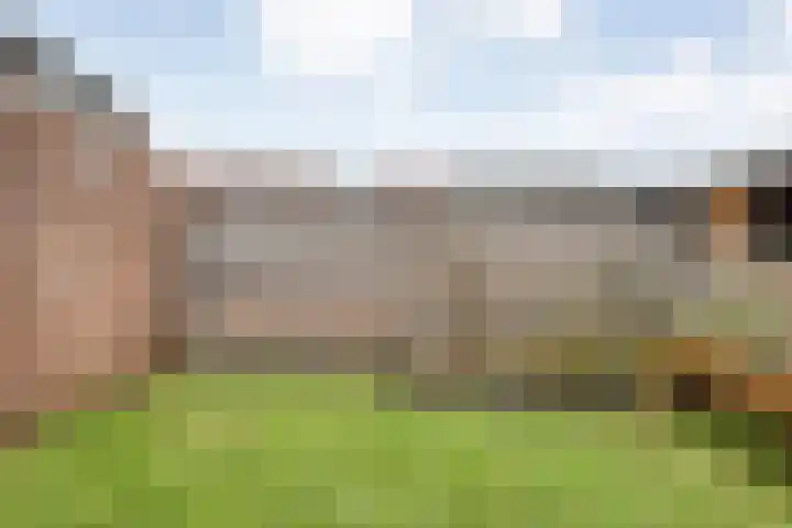 Grutto 54 Raalte thumbnail 41