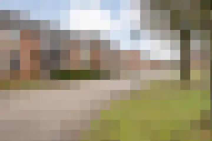 Grutto 54 Raalte thumbnail 9