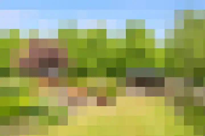 Grutto 59 Castricum thumbnail 4