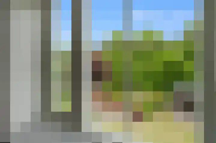 Grutto 59 Castricum thumbnail 48