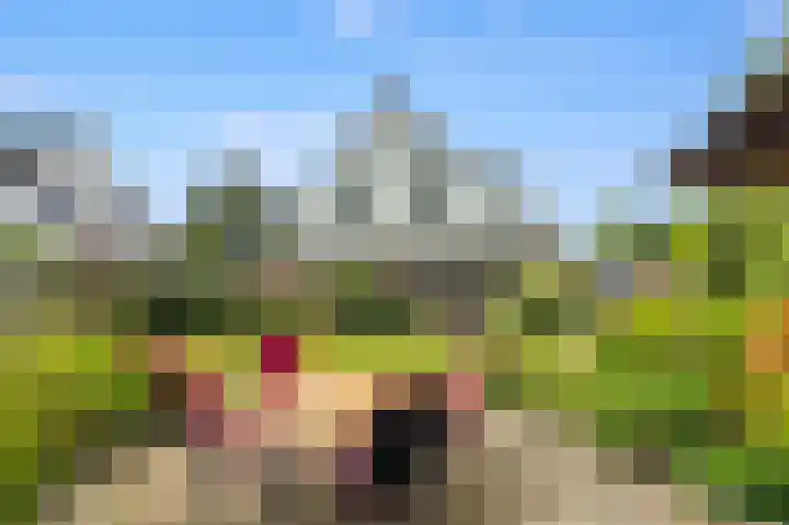 Grutto 59 Castricum thumbnail 63