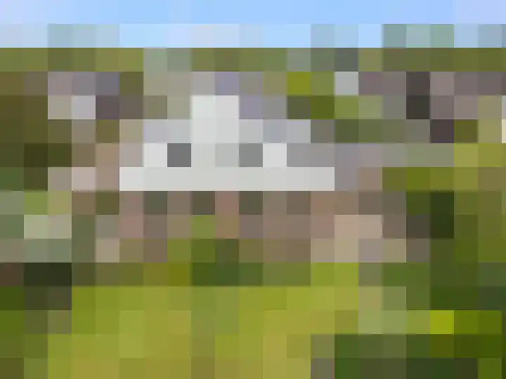 Grutto 59 Castricum thumbnail 64