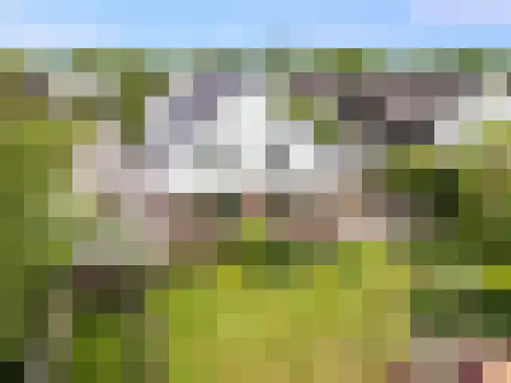 Grutto 59 Castricum thumbnail 65