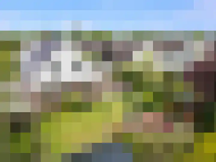 Grutto 59 Castricum thumbnail 66