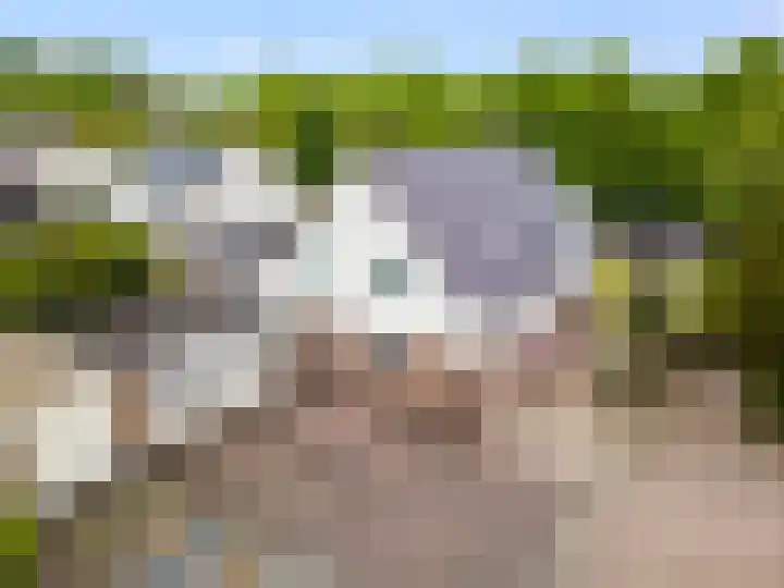 Grutto 59 Castricum thumbnail 69