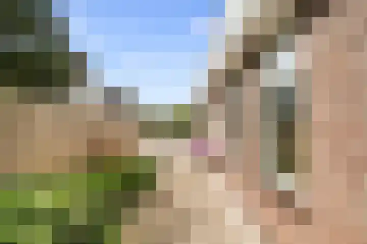 Grutto 59 Castricum thumbnail 7