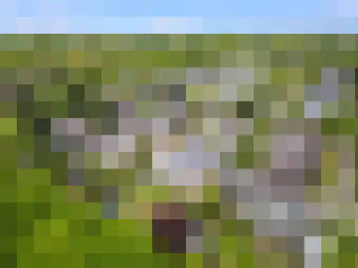 Grutto 59 Castricum thumbnail 71