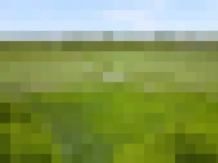 Grutto 59 Castricum thumbnail 72