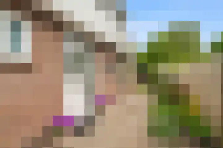 Grutto 59 Castricum thumbnail 8