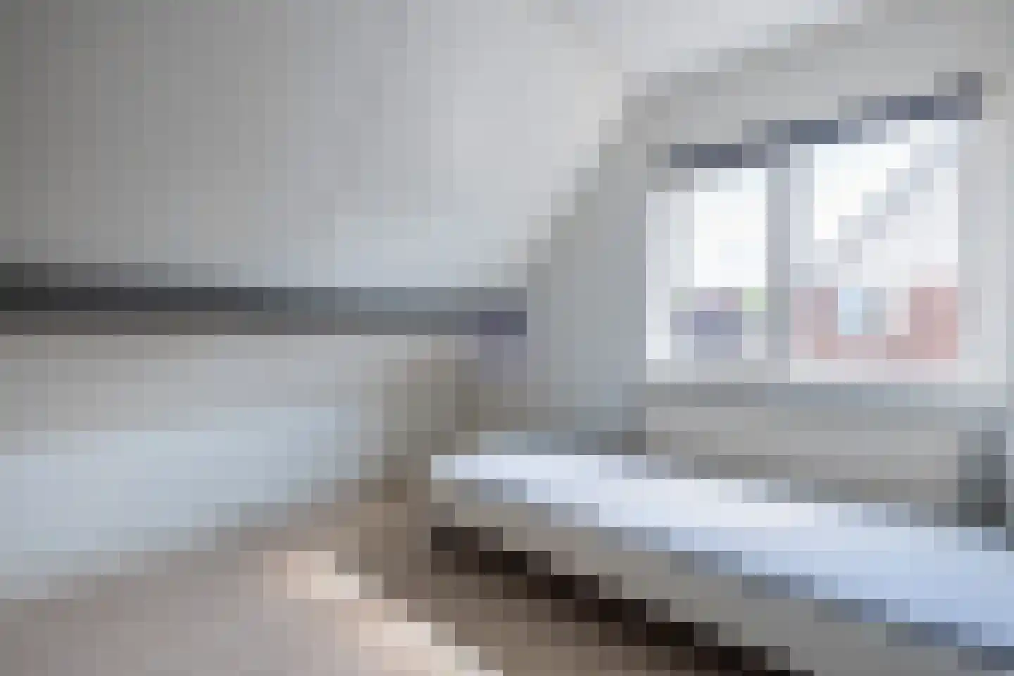 Grutto 60 Grootegast thumbnail 27