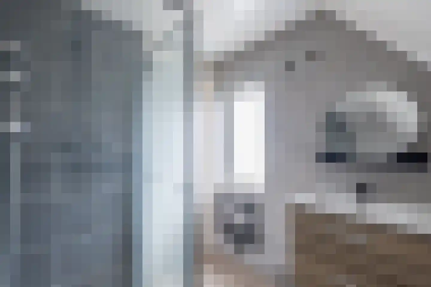 Grutto 60 Grootegast thumbnail 30