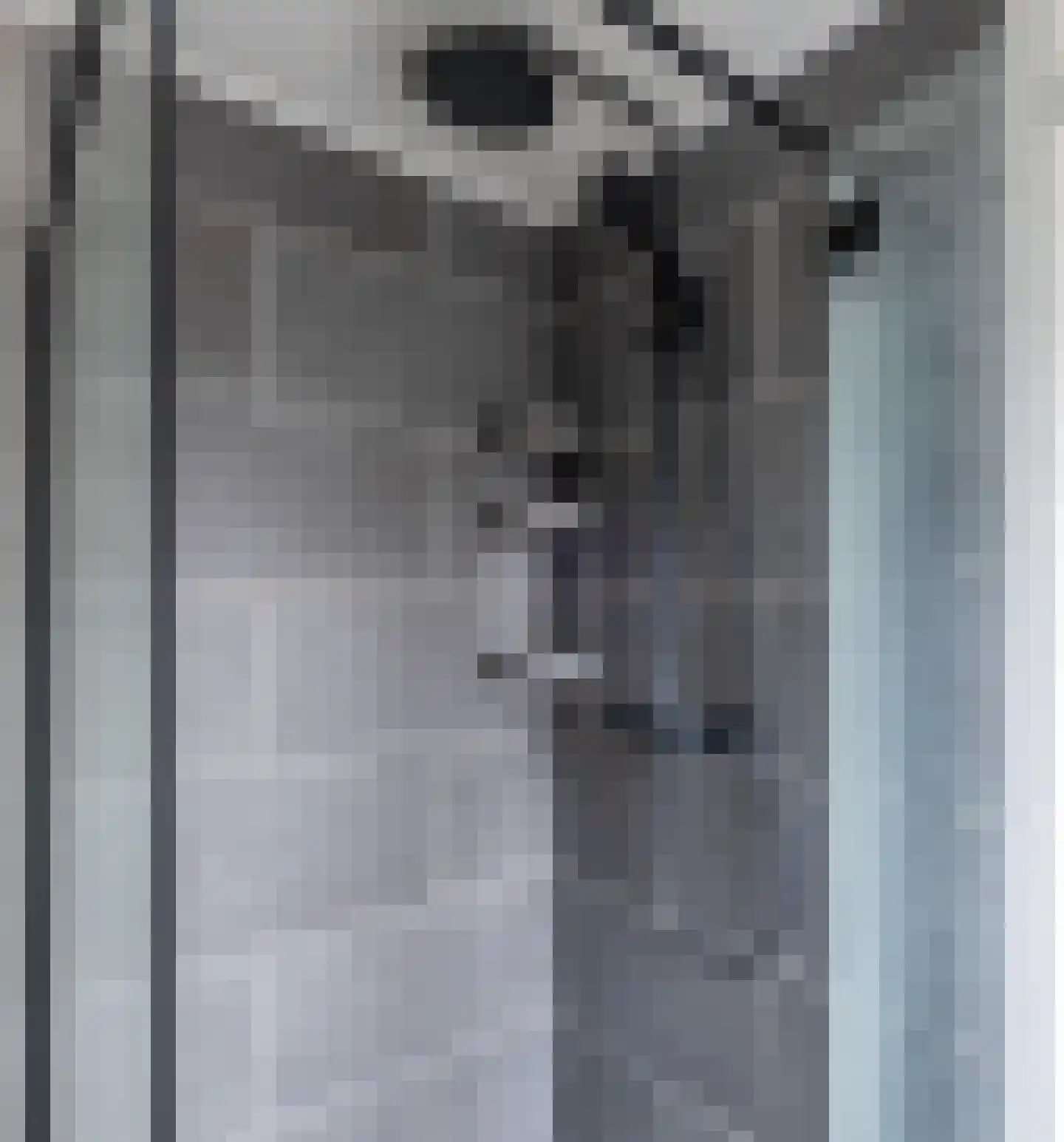 Grutto 60 Grootegast thumbnail 31