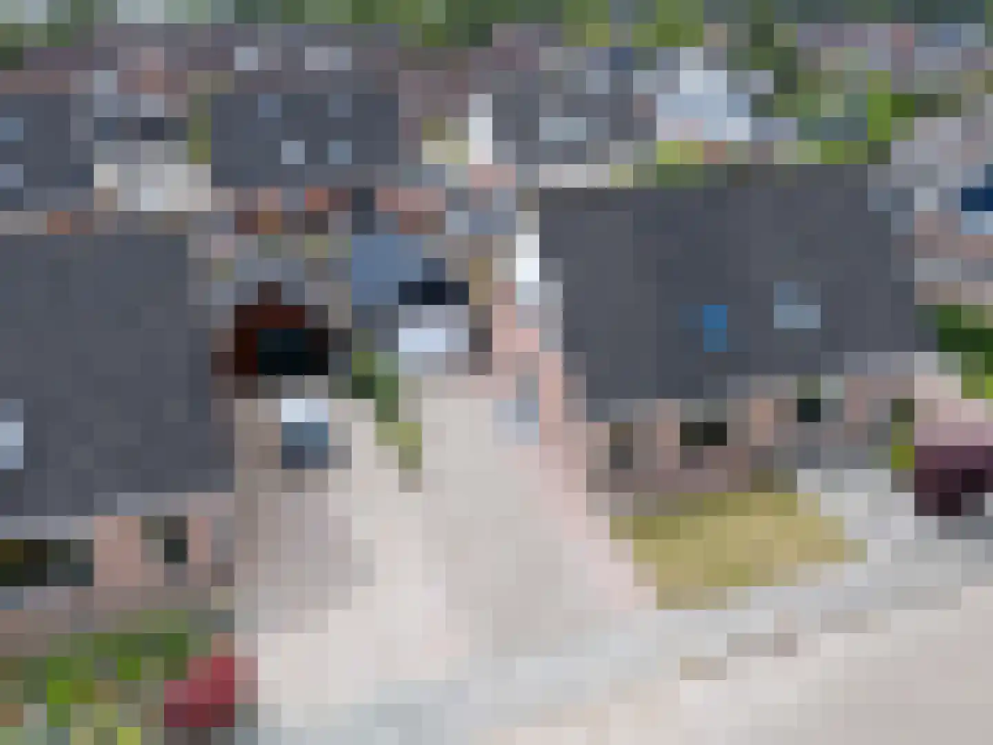Grutto 60 Grootegast thumbnail 36