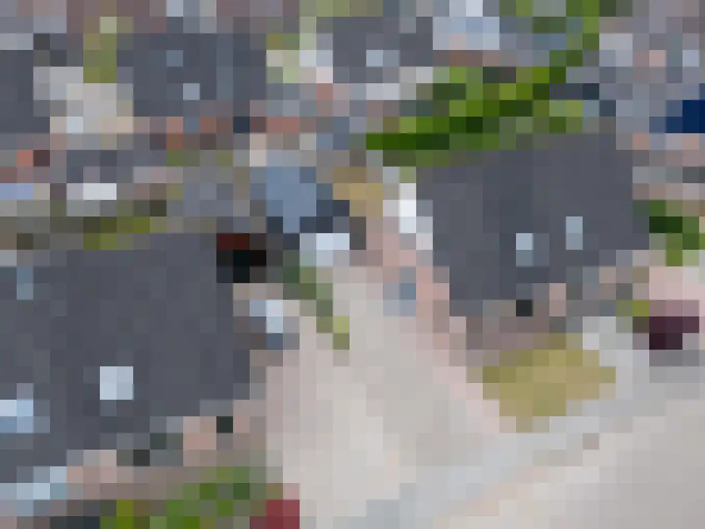 Grutto 60 Grootegast thumbnail 37