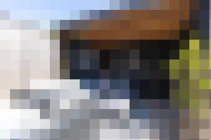 Grutto 65 Hoorn thumbnail 30