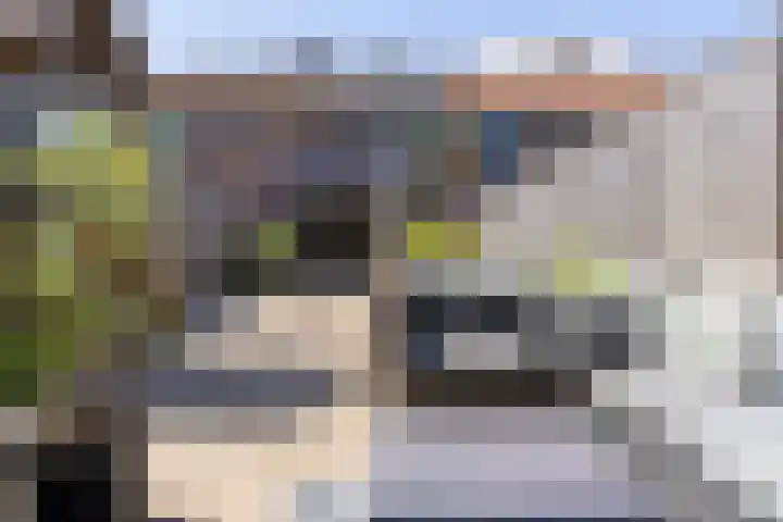 Grutto 65 Hoorn thumbnail 31