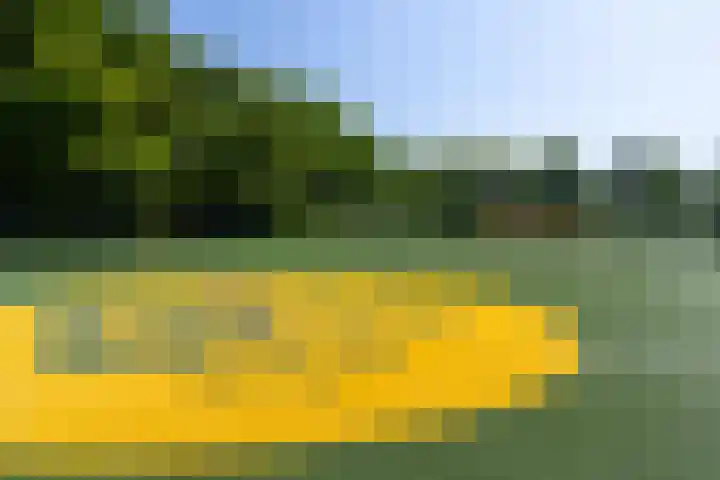 Grutto 65 Hoorn thumbnail 32
