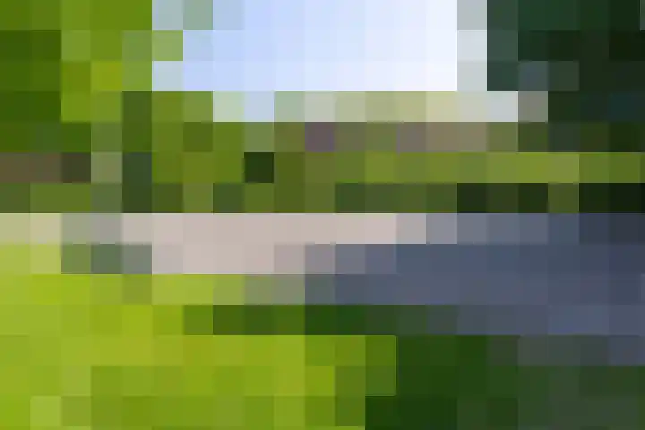Grutto 65 Hoorn thumbnail 33