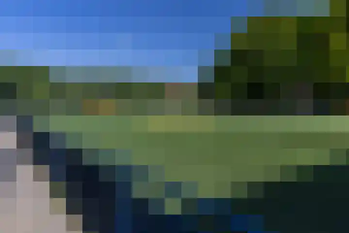 Grutto 65 Hoorn thumbnail 35