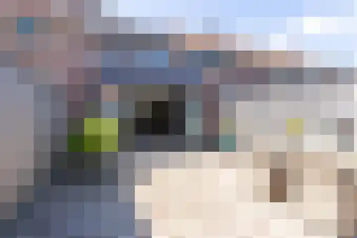 Grutto 65 Hoorn thumbnail 4
