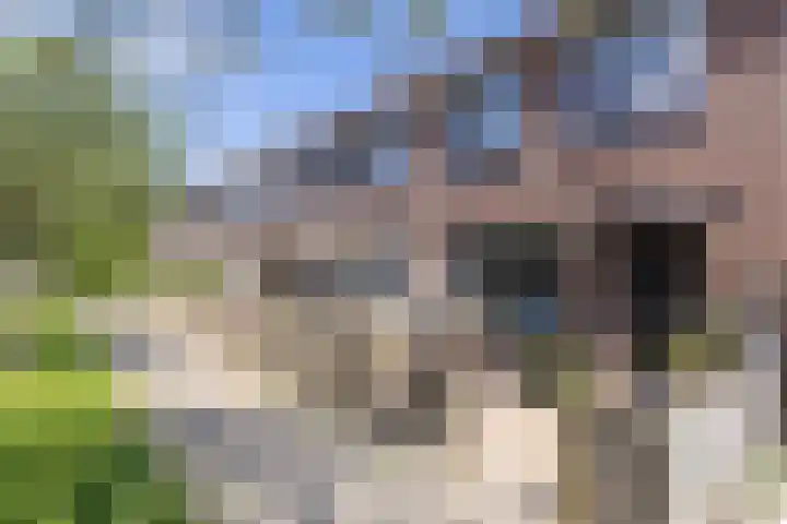 Grutto 65 Hoorn thumbnail 6