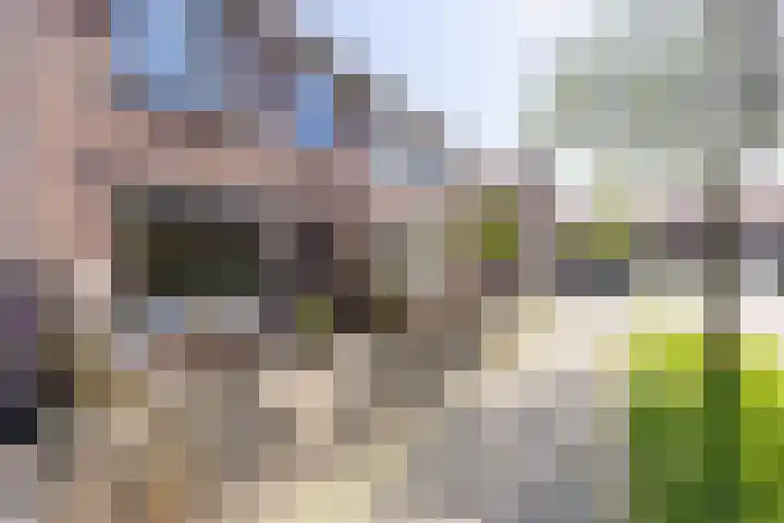 Grutto 65 Hoorn thumbnail 7