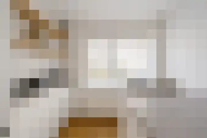 Grutto 7 Ouderkerk aan de Amstel thumbnail 10
