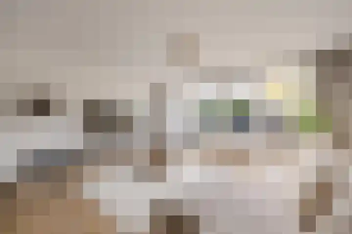 Grutto 7 Ouderkerk aan de Amstel thumbnail 16
